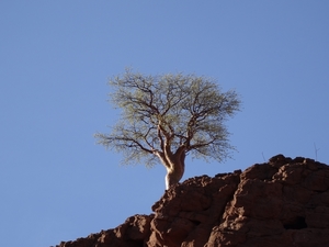 3E Namib woestijn, wandeling _DSC00188
