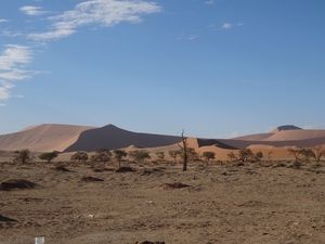 3G Namib woestijn, Sossusvlei _DSC00245