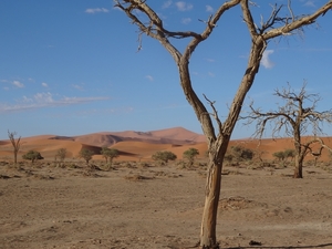 3G Namib woestijn, Sossusvlei _DSC00246