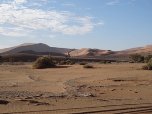 3G Namib woestijn, Sossusvlei _DSC00250
