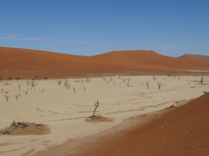 3I Namib woestijn, Deadvlei