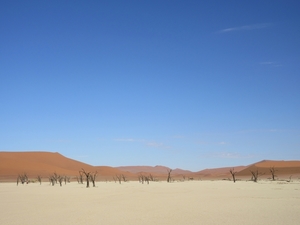 3I Namib woestijn, Deadvlei 2