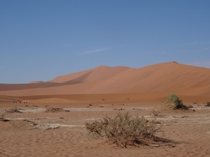 3J Namib woestijn, Sossusvlei _DSC00277