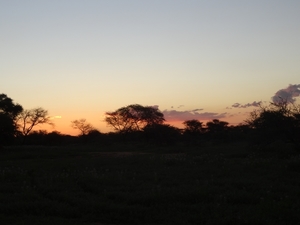8E Erindi GP, sunset safari _DSC00932