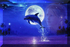 Ashley dolfijn