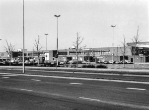 Leidschendam 1978 - Leidsenhage (Liguster)
