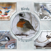 birds-in-winter-elly-mock-up05-1000px