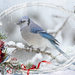 Elly-winterboeket.birds-1000px