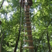 36) Jana op de ladder van een nieuw parcours