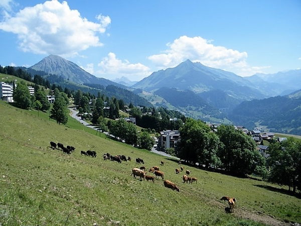 2017_06_19 Leysin 061