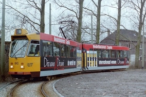 843 DIVANO & DIVANI (1994)