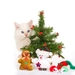 Christmas_cat_desktop_backgrounds