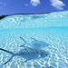 hd-vissen-achtergrond-met-twee-tropische-vissen-in-helder-blauw-w