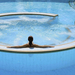 hd-zwembad-wallpaper-met-een-knappe-meid-zittend-in-een-rond-zwem