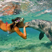 foto-van-vrouw-in-bikini-kust-dolfijn-onderwater-hd-dolfijnen-wal