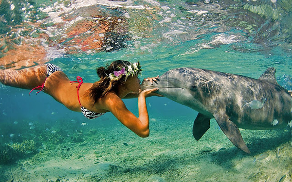 foto-van-vrouw-in-bikini-kust-dolfijn-onderwater-hd-dolfijnen-wal