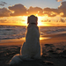 hond-kijkt-naar-zonsondergang-op-het-strand-bij-de-zee-hd-honden-