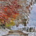 winter-achtergrond-met-bomen-met-herfstbladeren-en-sneeuw-op-de-g