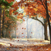 achtergrond-herfst-wallpaper-bladeren-vallen-van-boom