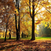 hd-herfst-wallpaper-met-een-park-tijdens-de-herfst-achtergrond-fo