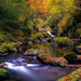 hd-landschap-wallpaper-met-herfst-bladeren-en-een-riviertje-met-b