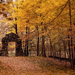 hd-wallpaper-met-bomen-met-herfstbladeren-hd-herfst-achtergrond-f