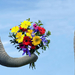 funny-animal-wallpaper-with-a-elephant-giving-flowers-to-another-