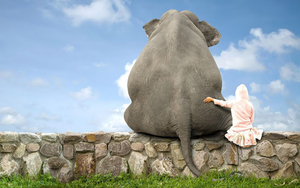 funny-wallpaper-with-a-girl-and-a-elephant-sitting-on-a-stone-wal