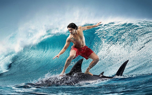funny-wallpaper-with-a-man-surfing-on-a-shark-hd-sharks-wallpaper