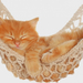 photo-of-a-cat-sleeping-in-a-hammock-hd-cats-wallpaper