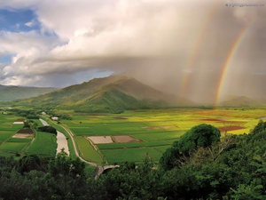 desktop-achtergrond-natuur-regenboog