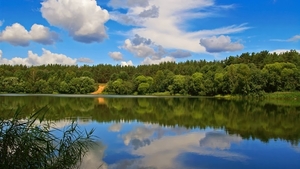 natuur-achtergrond-met-meer-en-bossen