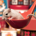 funny-wallpaper-with-a-mouse-sitting-in-a-spoon-hd-mouse-wallpape