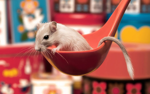 funny-wallpaper-with-a-mouse-sitting-in-a-spoon-hd-mouse-wallpape