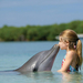 hd-dolphin-wallpaper-with-a-dolphin-kissing-a-little-girl-dolphin