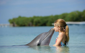 hd-dolphin-wallpaper-with-a-dolphin-kissing-a-little-girl-dolphin