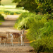 wallpaper-of-deers-in-the-wild-on-a-road-near-the-forest-hd-deer-
