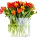 tulips-5_874838633