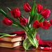 red-tulips_674278273