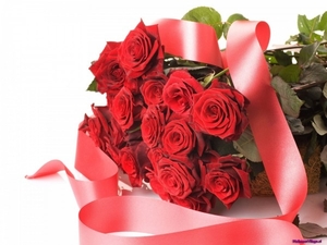 romantic-rose_642397592