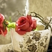 roses-in-a-mug_376903098