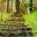 stairs-2203290_960_720