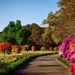 bellingrath-gardens-alabama-landscape-scenic-158028
