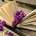 book-read-relax-lilac