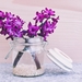 hyacinth-flower-blossom-bloom