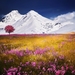 alps-tree-snow-nature-landscape-flowers-grass