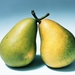 Pears_fruit