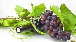 wine-and-grapes_709914770