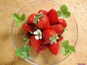 strawberry-leaves_1825675183
