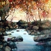 zl-feng-paintings-951-6